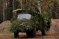 IMG_6574_Tamme_Mlvk