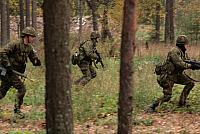 IMG_6652_Tamme_Mlvk