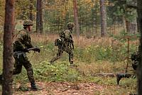 IMG_6653_Tamme_Mlvk