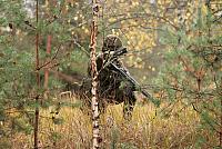 IMG_6656_Tamme_Mlvk