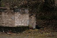 IMG_6718_Tamme_Mlvk