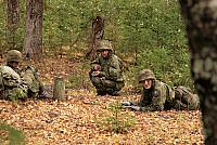 IMG_6841_Tamme_Mlvk
