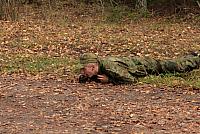 IMG_6849_Tamme_Mlvk