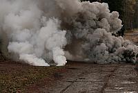 IMG_6857_Tamme_Mlvk