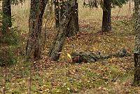 IMG_6860_Tamme_Mlvk