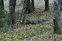 IMG_6862_Tamme_Mlvk