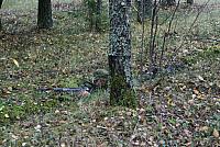 IMG_6865_Tamme_Mlvk