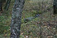 IMG_6866_Tamme_Mlvk