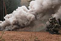 IMG_6894_Tamme_Mlvk